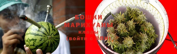 a pvp Белокуриха