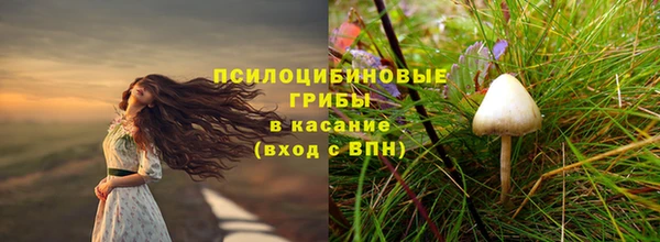 молекула духа Балабаново