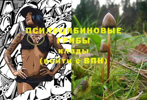 прущая мука Баксан