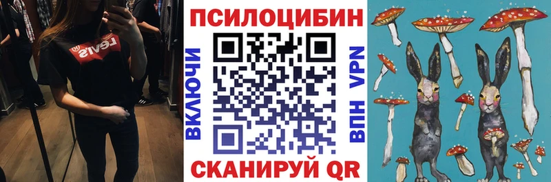 наркота  Горняк  нарко площадка Telegram  Галлюциногенные грибы Psilocybe 