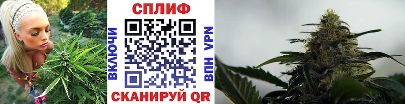 где найти   Горняк  мориарти состав  МАРИХУАНА OG Kush 